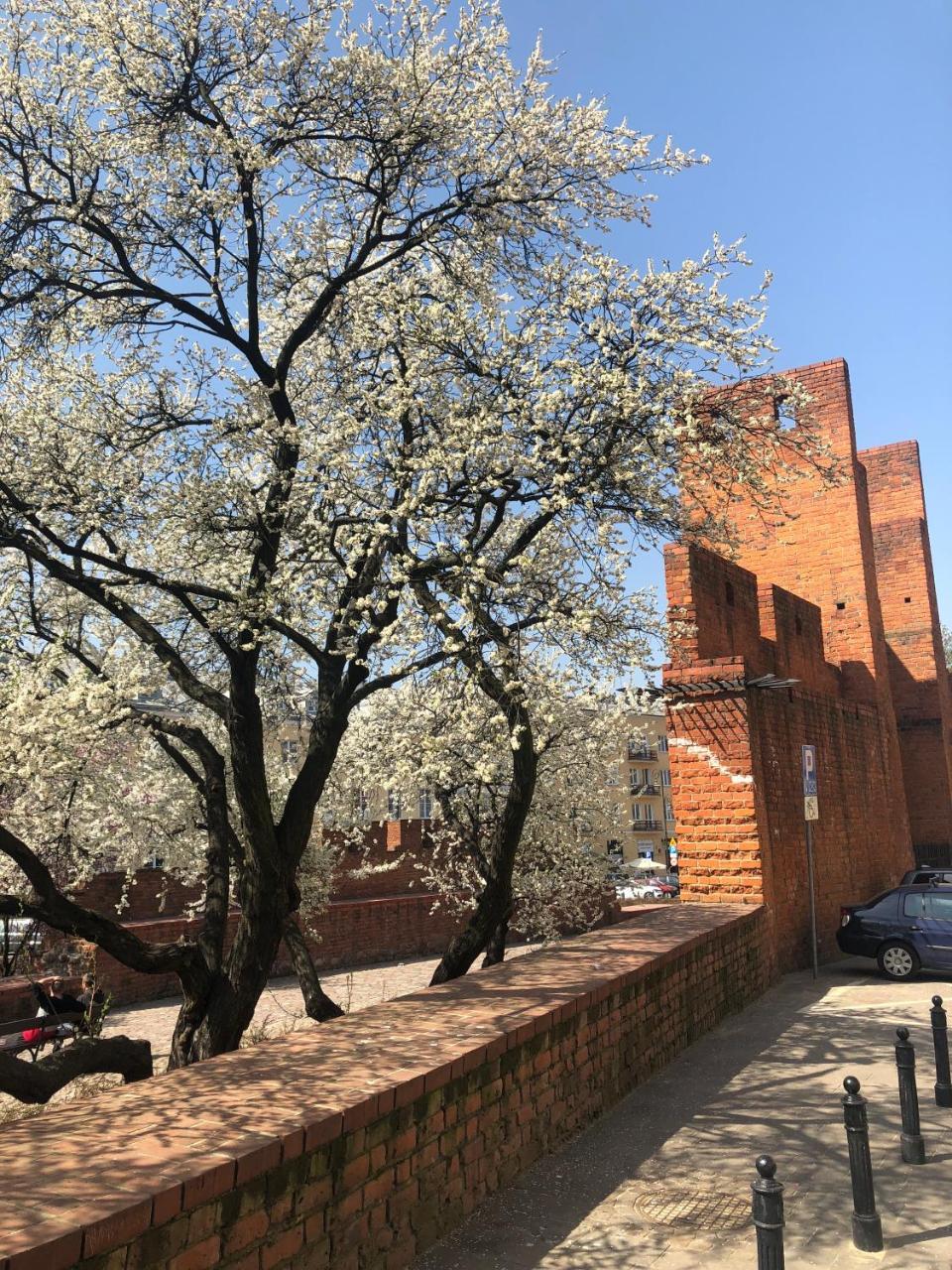 Apartment Theater Academy Old Town Varşova Dış mekan fotoğraf